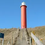 Apartment Bij De Duinen 300 Meter De Zee Gratis Wifi Huisdieren Toegestaan Thuiswerkplek *