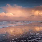 아파트 Bij De Duinen 300 Meter De Zee Gratis Wifi Huisdieren Toegestaan Thuiswerkplek *