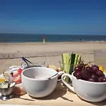 Apartment Bij De Duinen 300 Meter De Zee Gratis Wifi Huisdieren Toegestaan Thuiswerkplek