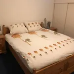 Bij De Duinen 300 Meter De Zee Gratis Wifi Huisdieren Toegestaan Thuiswerkplek Apartment *