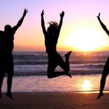 Bij De Duinen 300 Meter De Zee Gratis Wifi Huisdieren Toegestaan Thuiswerkplek *