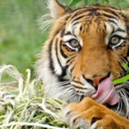 דירה Bij De Duinen 300 Meter De Zee Gratis Wifi Huisdieren Toegestaan Thuiswerkplek