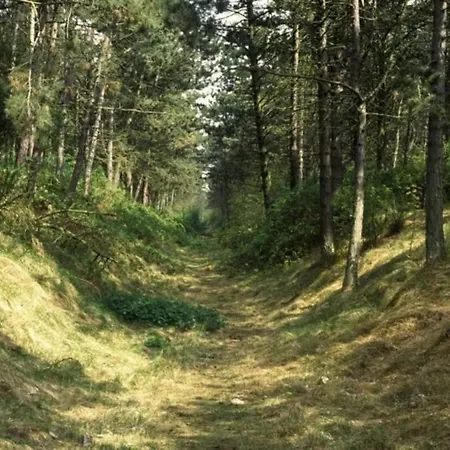 דירה Bij De Duinen 300 Meter De Zee Gratis Wifi Huisdieren Toegestaan Thuiswerkplek