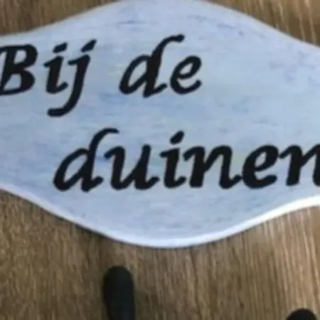 Bij De Duinen 300 Meter De Zee Gratis Wifi Huisdieren Toegestaan Thuiswerkplek *