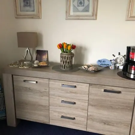 Bij De Duinen 300 Meter De Zee Gratis Wifi Huisdieren Toegestaan Thuiswerkplek דירה