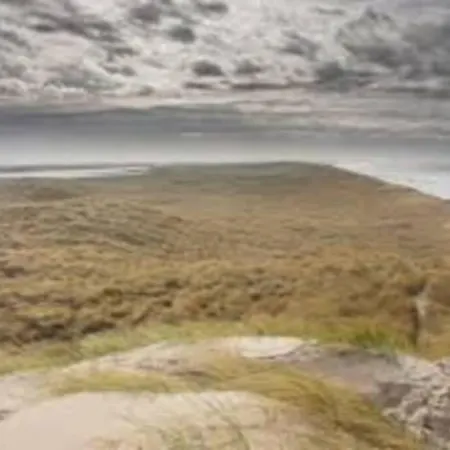 Bij De Duinen 300 Meter De Zee Gratis Wifi Huisdieren Toegestaan Thuiswerkplek *