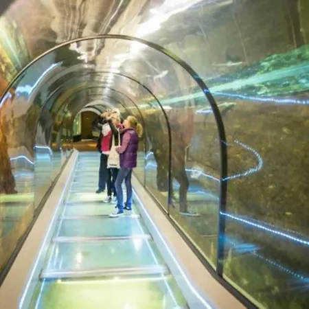 דירה Bij De Duinen 300 Meter De Zee Gratis Wifi Huisdieren Toegestaan Thuiswerkplek