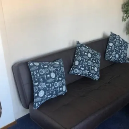 Bij De Duinen 300 Meter De Zee Gratis Wifi Huisdieren Toegestaan Thuiswerkplek