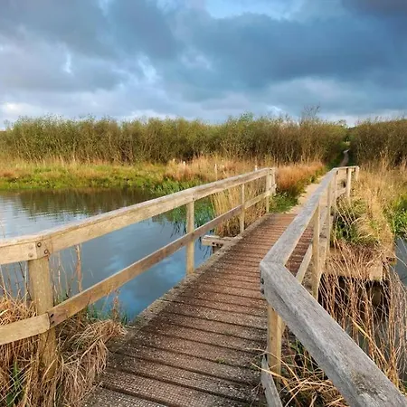 Bij De Duinen 300 Meter De Zee Gratis Wifi Huisdieren Toegestaan Thuiswerkplek יוליאנאדורפ