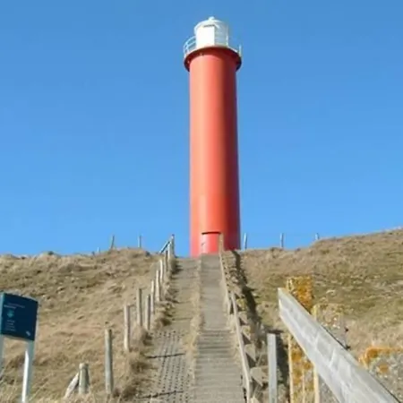 דירה Bij De Duinen 300 Meter De Zee Gratis Wifi Huisdieren Toegestaan Thuiswerkplek *