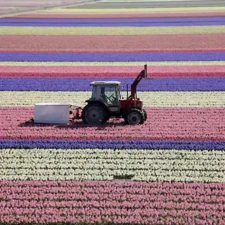 דירה Bij De Duinen 300 Meter De Zee Gratis Wifi Huisdieren Toegestaan Thuiswerkplek יוליאנאדורפ