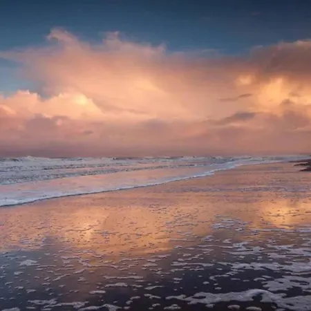 דירה Bij De Duinen 300 Meter De Zee Gratis Wifi Huisdieren Toegestaan Thuiswerkplek *