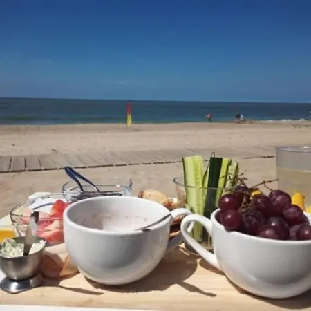 דירה Bij De Duinen 300 Meter De Zee Gratis Wifi Huisdieren Toegestaan Thuiswerkplek
