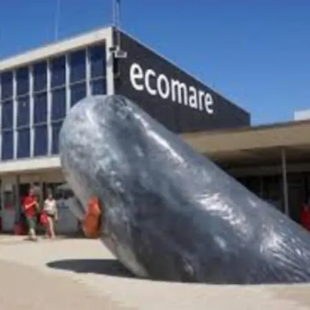 Bij De Duinen 300 Meter De Zee Gratis Wifi Huisdieren Toegestaan Thuiswerkplek * יוליאנאדורפ