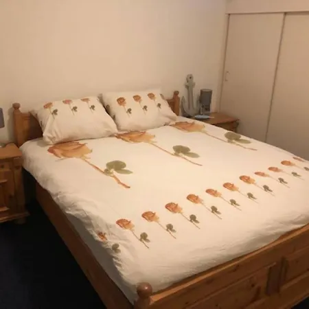 Bij De Duinen 300 Meter De Zee Gratis Wifi Huisdieren Toegestaan Thuiswerkplek דירה *